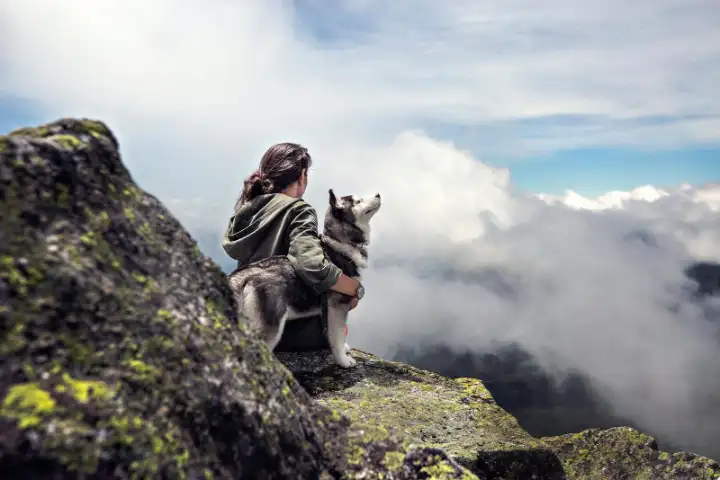A person sitting with two dogs on a mountain top above the clouds.